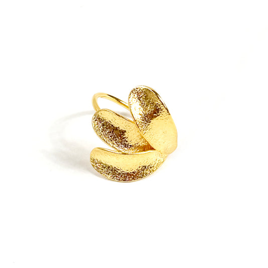 Anello Esperidi