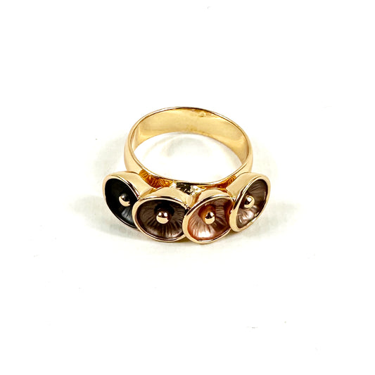 Anello Visioni